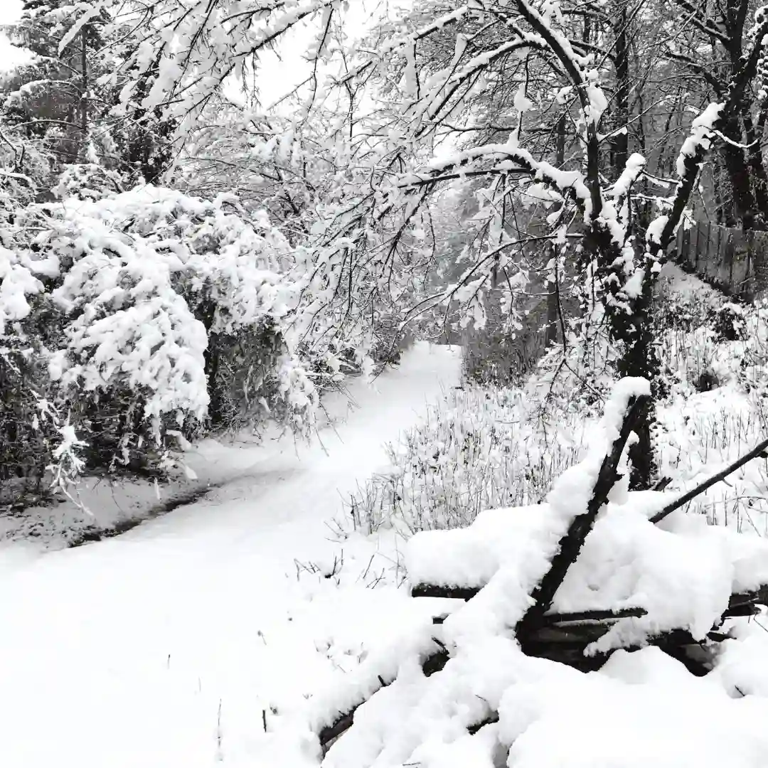 Kőszikla vendégház - csömöle völgy télen (1)