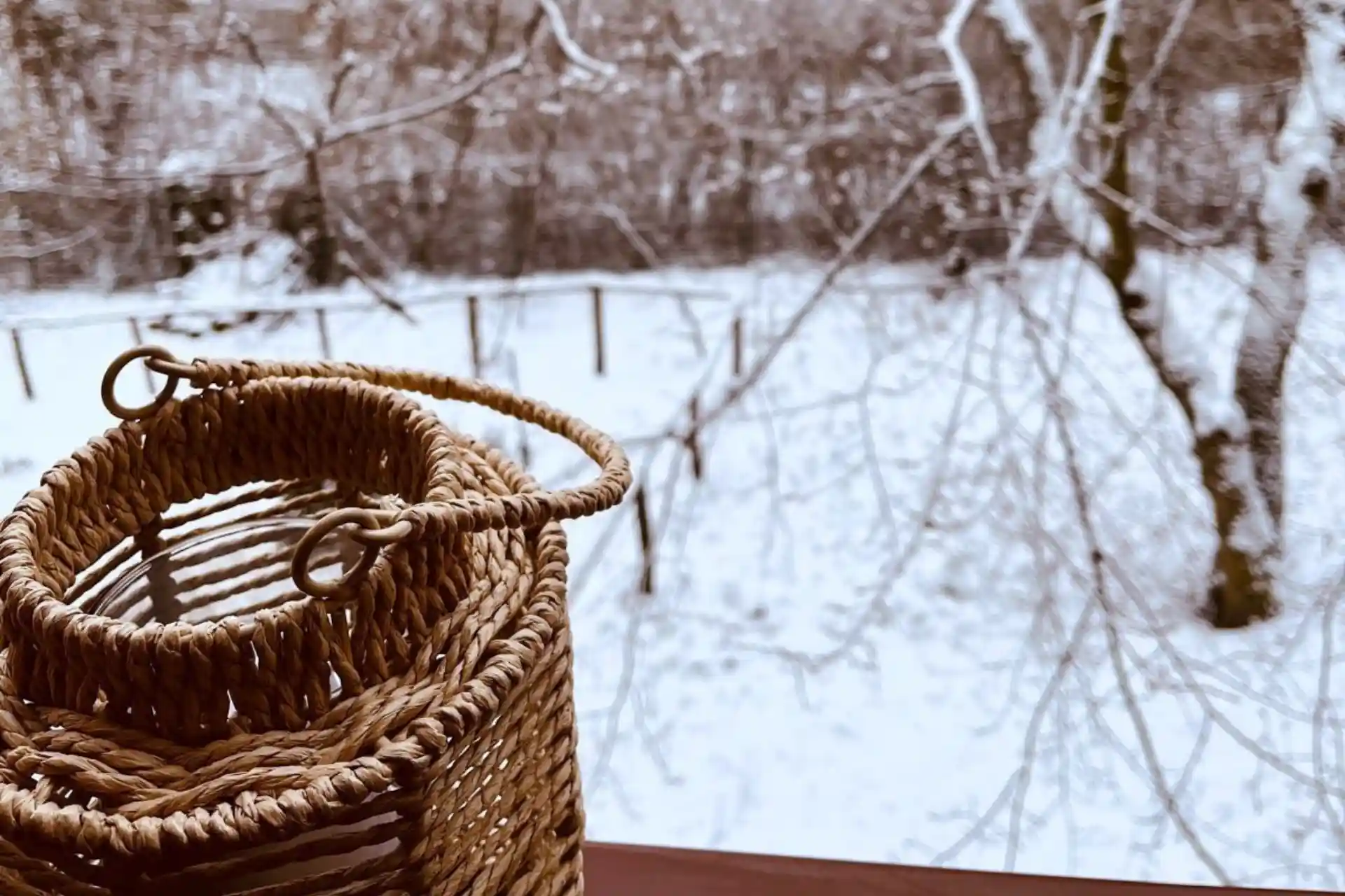 Kőszikla vendégház - tél kert